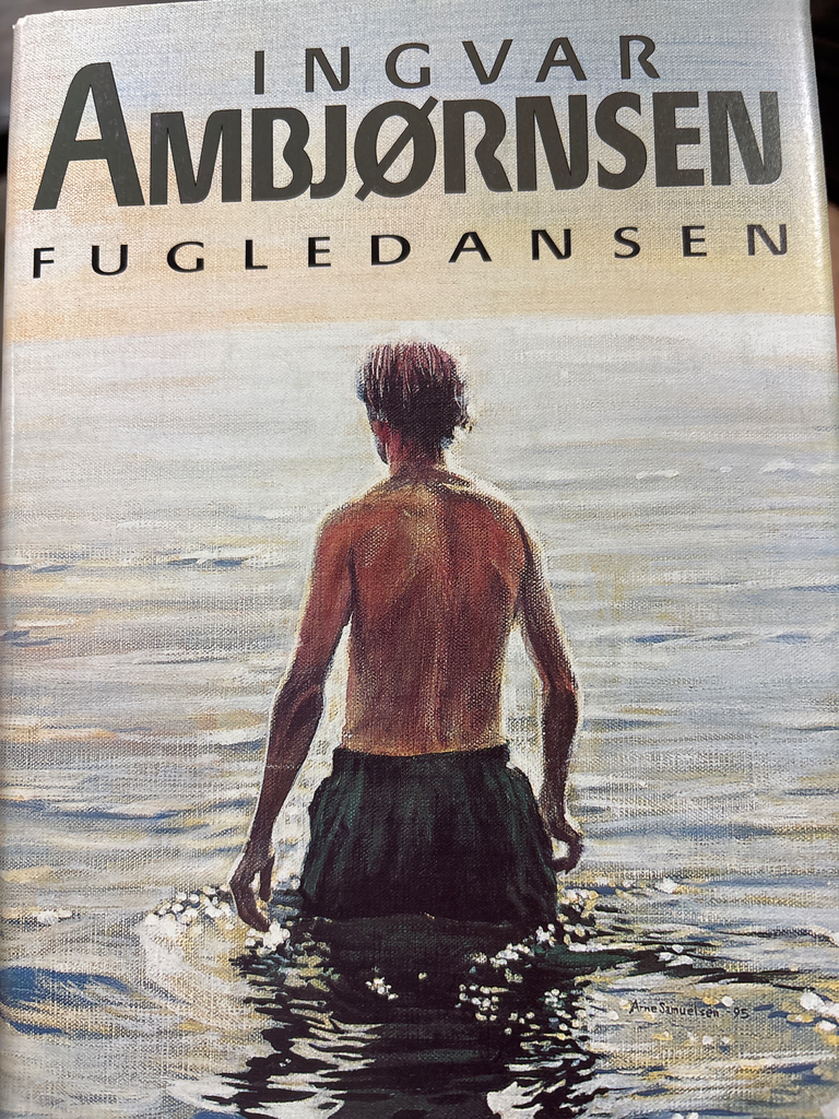 Bok, Ingvar Ambjørnsen - Fugledansen